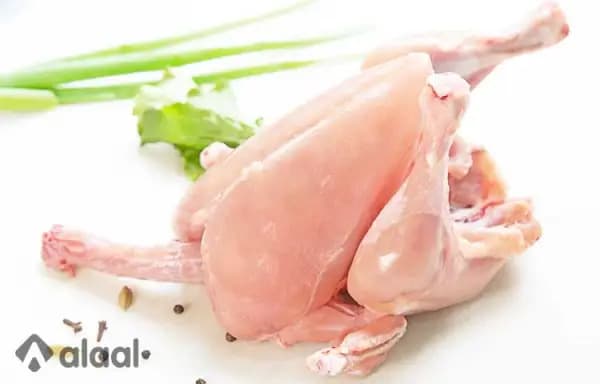 Chicken – Whole Uncut(1kg to 1.3kg)