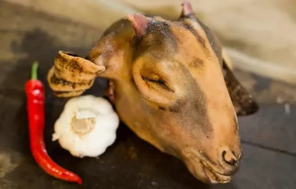 Mutton Head