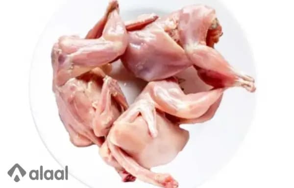 Kaada / Quail / காடை – Pack of 4